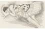 Henri Matisse: Danseuse Endormie Au Divan - undefined