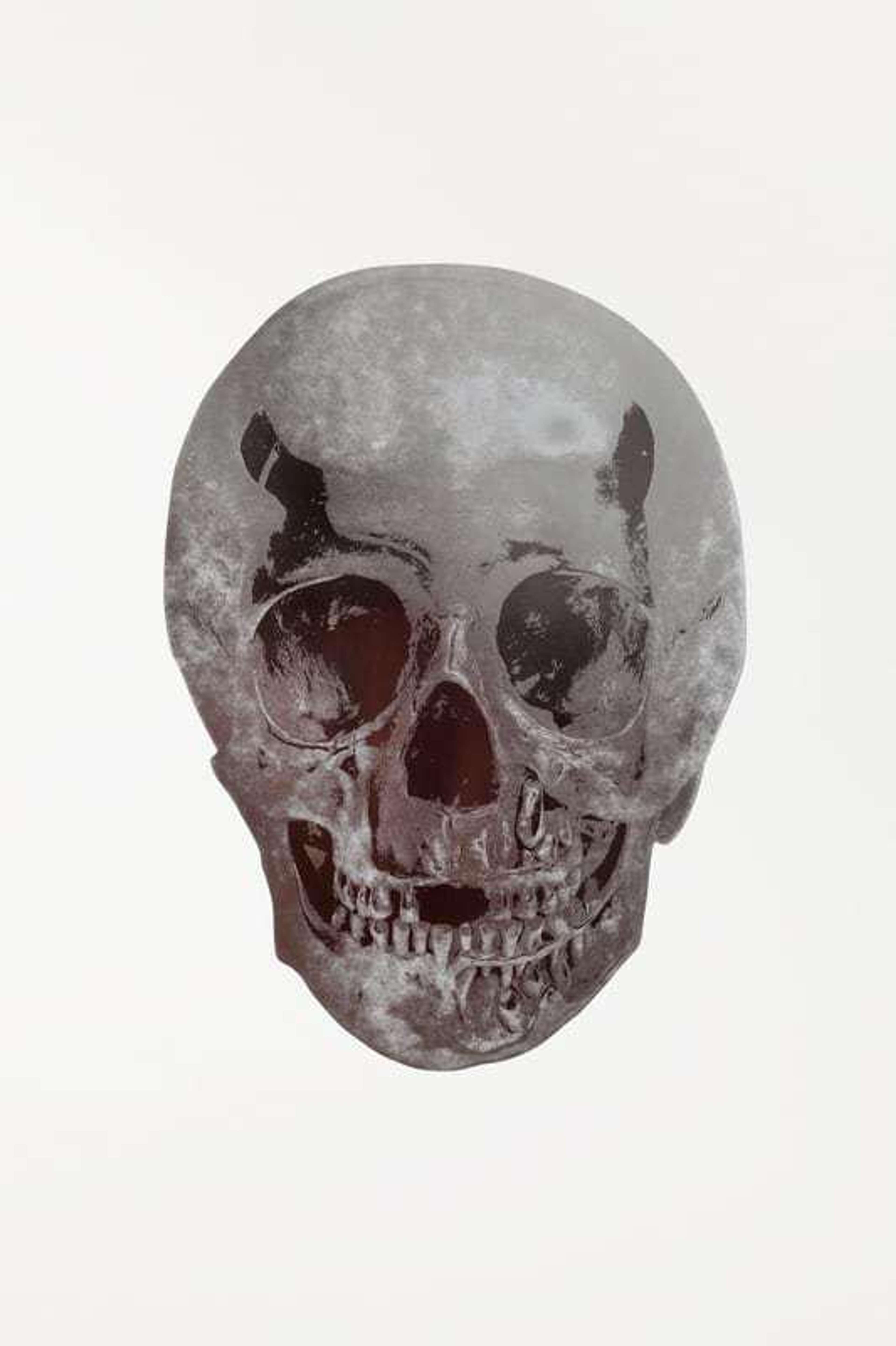 An image of the print The Dead by Damien Hirst. It shows a floating skull done using a mix of silver gloss and oriental gold set against a simple white backdrop.