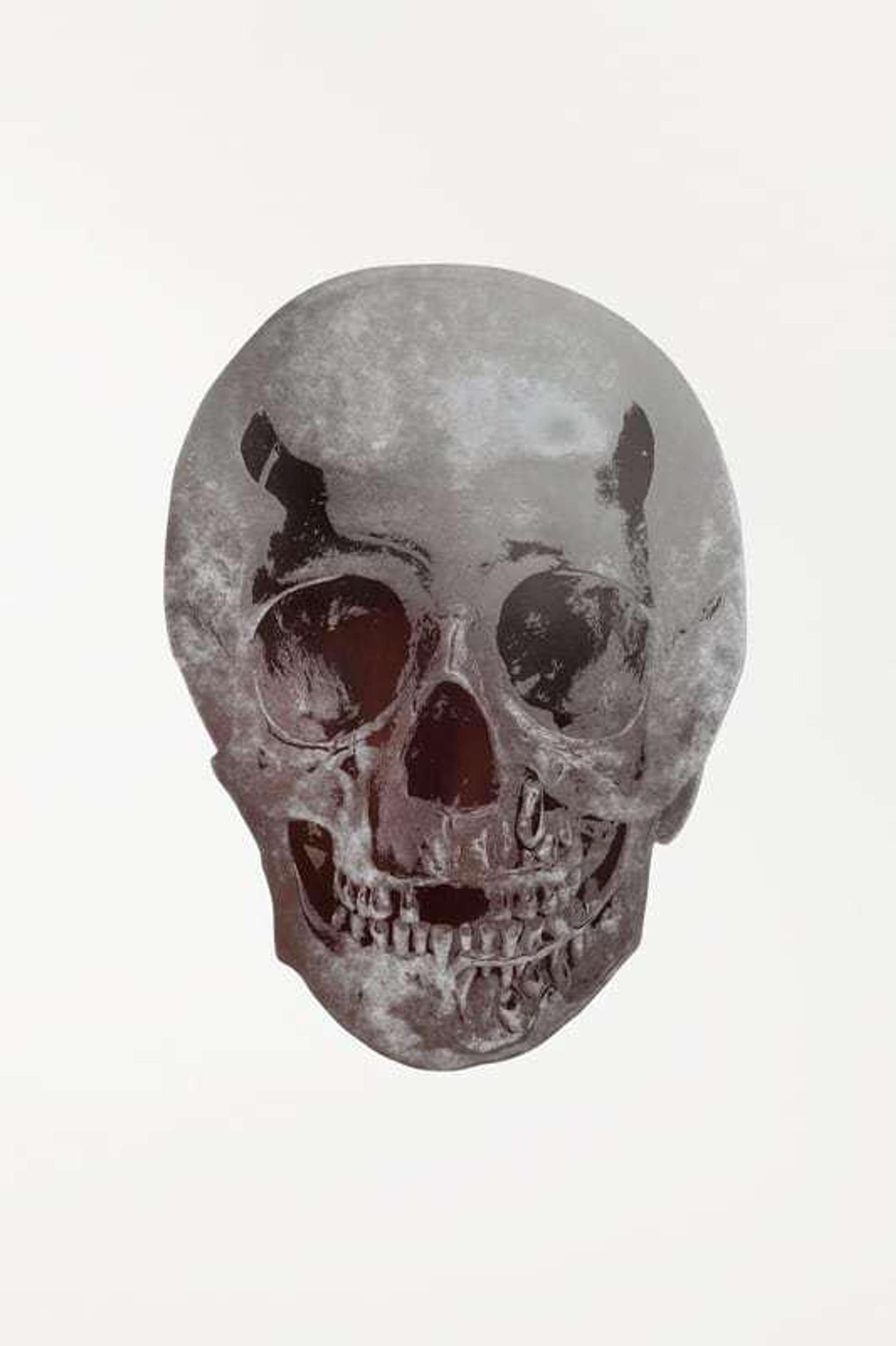 An image of the print The Dead by Damien Hirst. It shows a floating skull done using a mix of silver gloss and oriental gold set against a simple white backdrop.