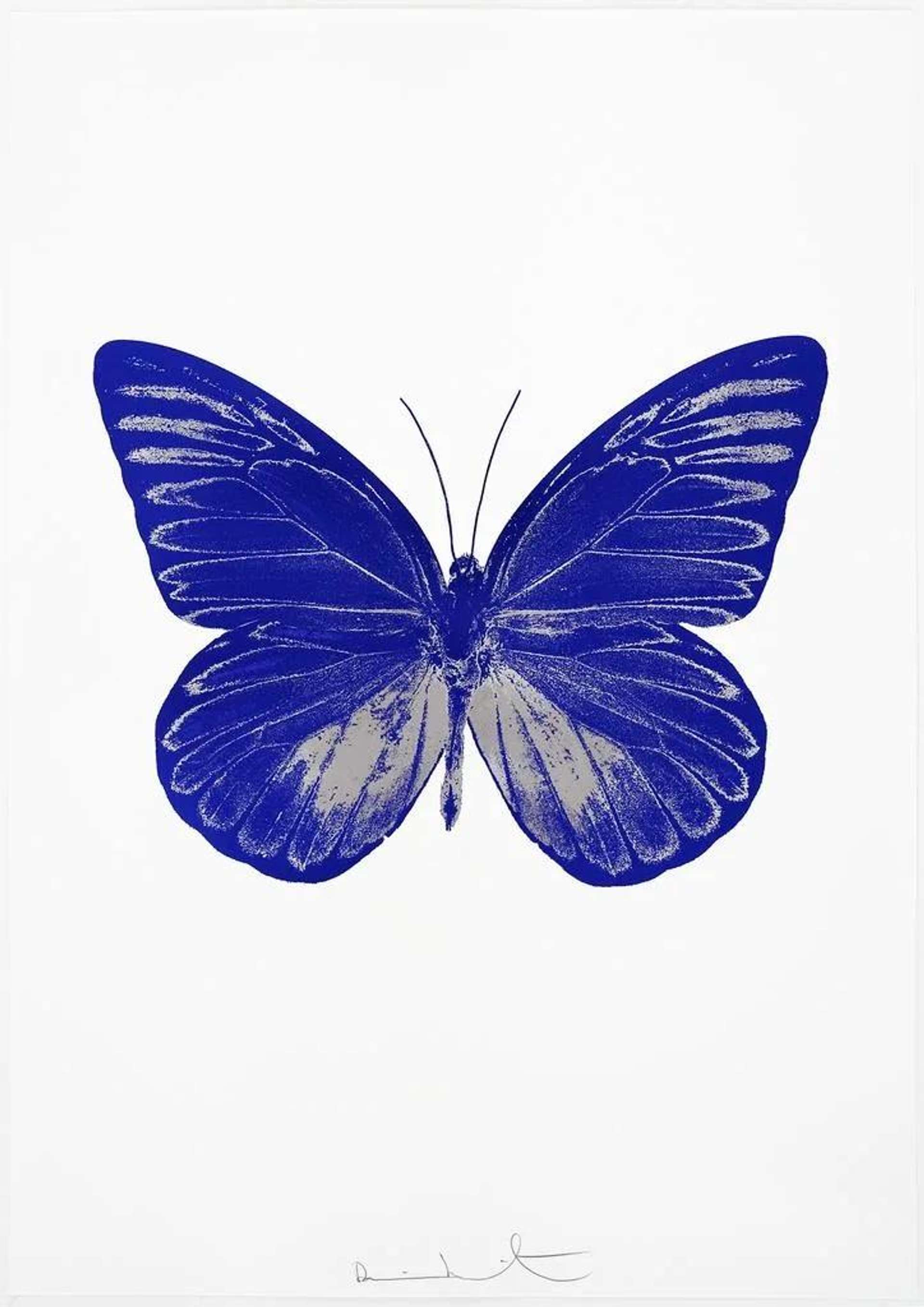 An image of the print The Souls I by Damien Hirst. It shows a purple butterfly against a white background.