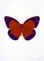 Damien Hirst: The Souls II (prairie copper, imperial purple, blind impression) - Signed Print