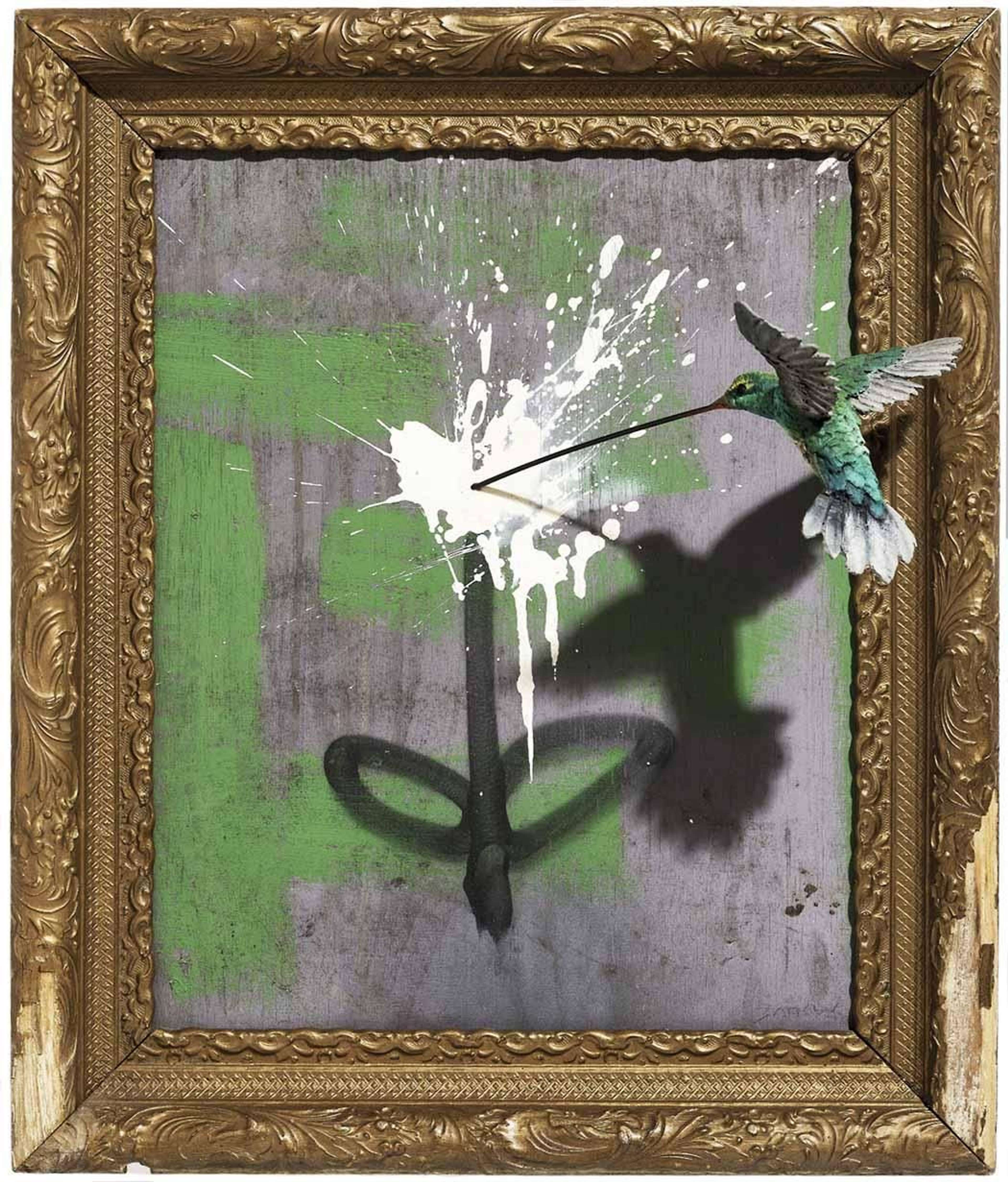 Banksy’s Hummingbird. A framed spray paint work of a hummingbird drinking from a graffiti flower.