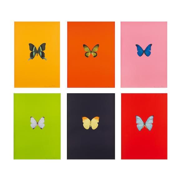 コレクション Damien Hirst post card Damien Hirst 'Beyond Belief' postcard set | White Cube