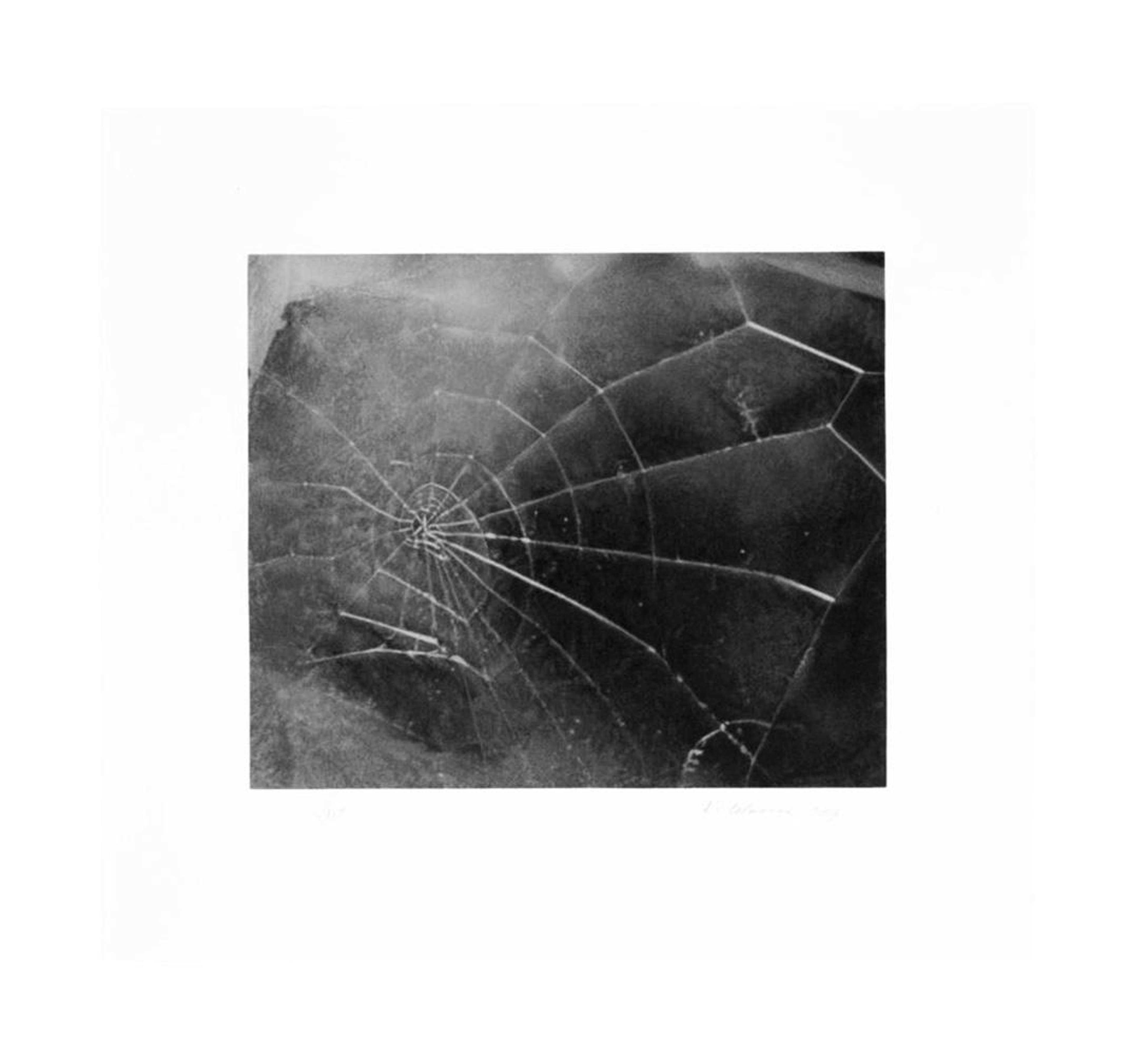 Spider Web - Signed Print by Vija Celmins 2009 - MyArtBroker