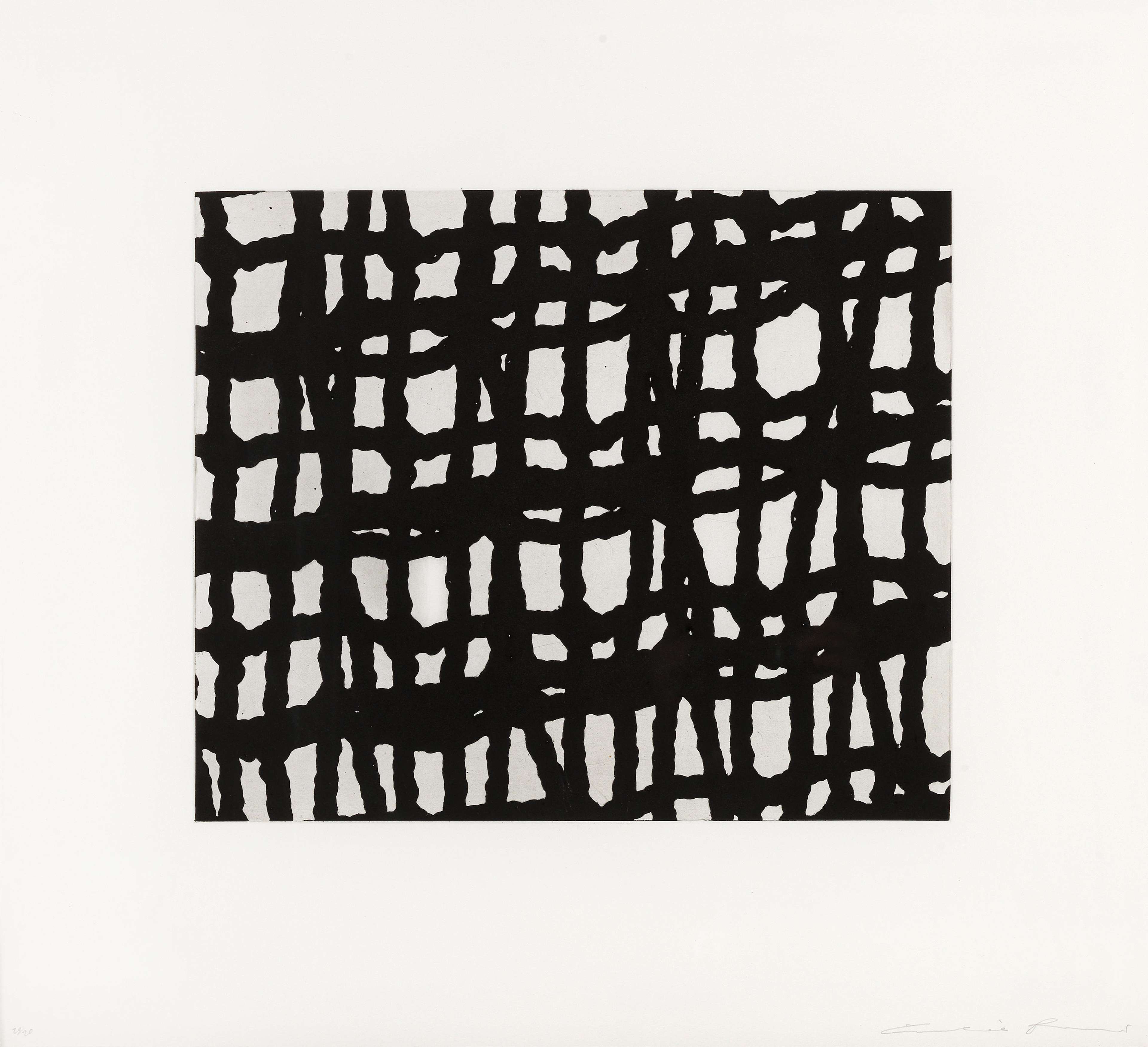 Worry Lines 1 - Signed Print by Cornelia Parker 2008 - MyArtBroker