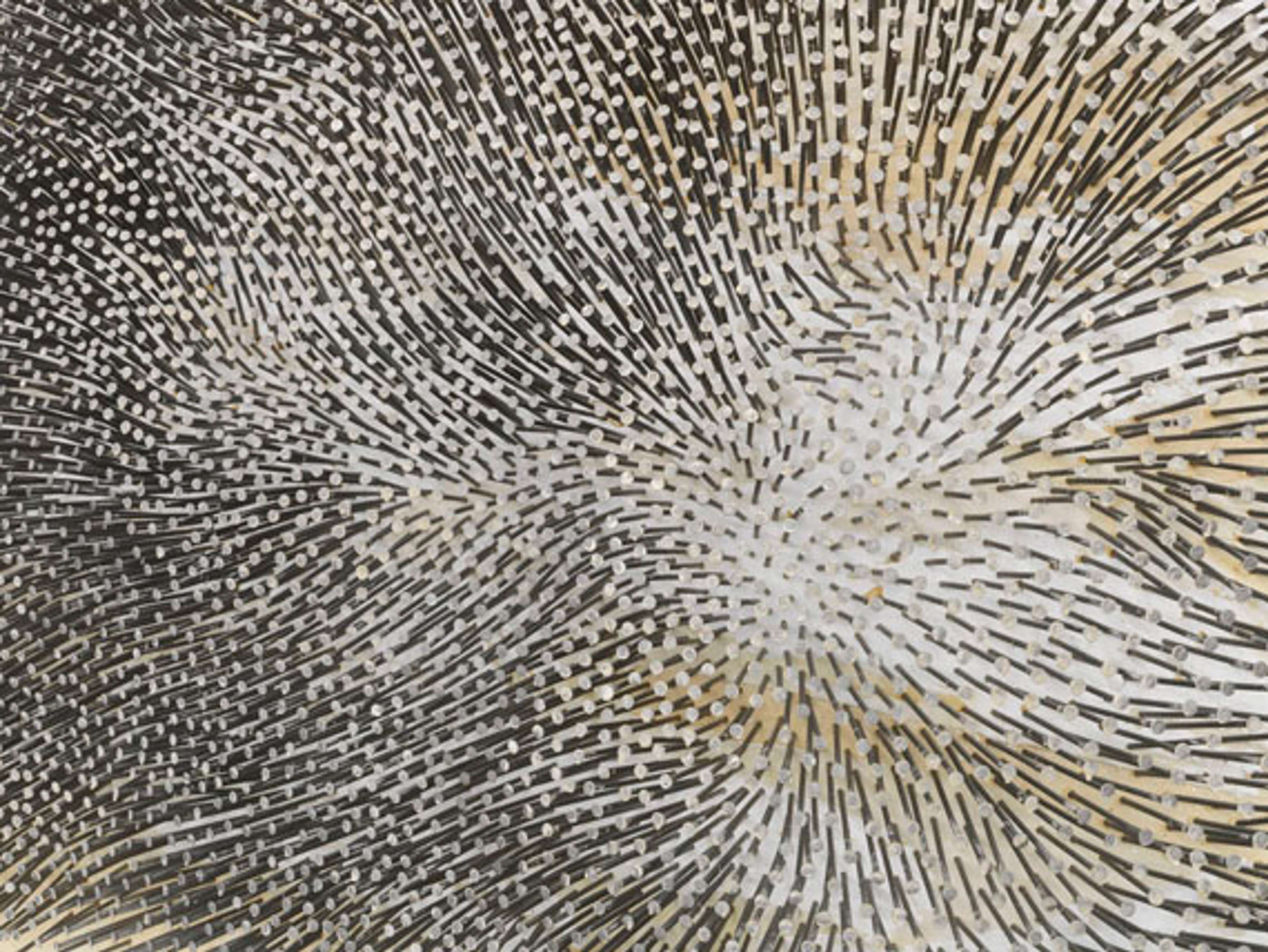 A dynamic arrangement of nails that creates a visual display of a theoretical energy field. The carefully positioned nails form patterns of movement and flow, seeming to begin and end in the top left and bottom right corners. 