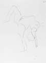 Henri Matisse: Danseuse Acrobate IV - undefined