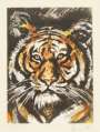 Ronnie Wood: Tiger - Signed Print