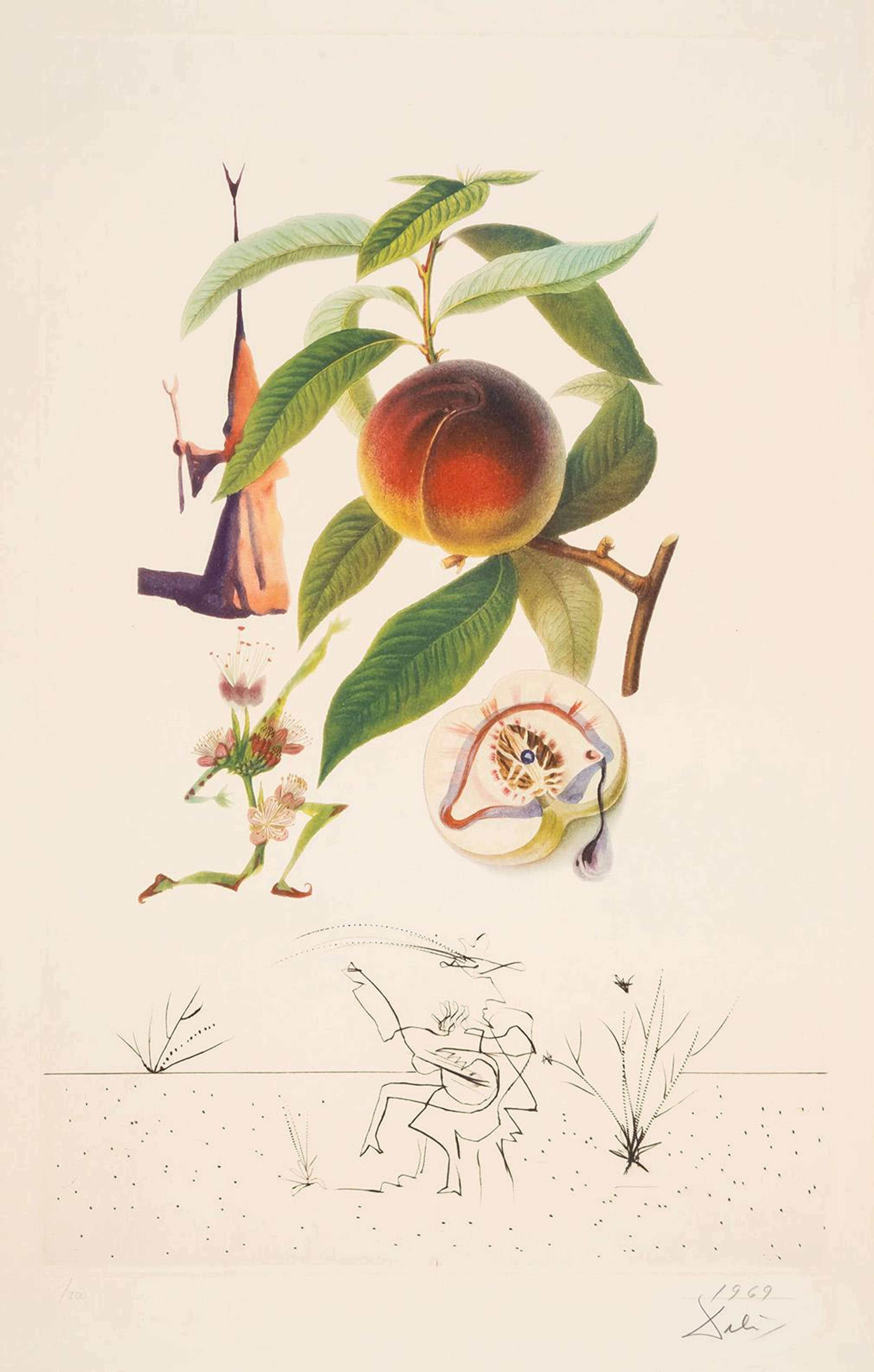 Pêcher Pénitent (Flordali, Les Fruits) - Signed Print by Salvador Dali 1969 - MyArtBroker