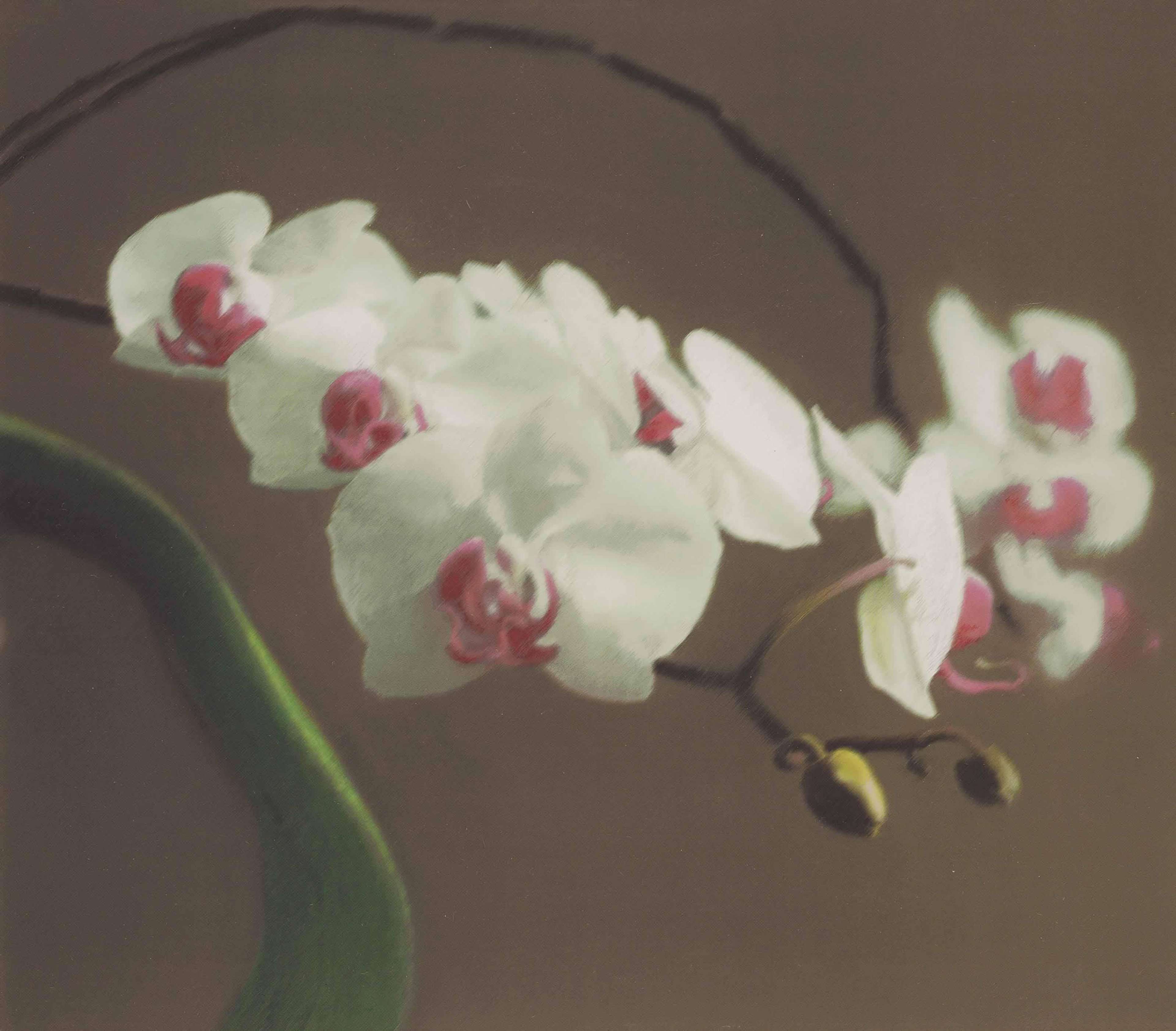 Orchid I - Signed Print by Gerhard Richter 1998 - MyArtBroker