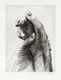 Henry Moore: The Artist's Hand IV - Signed Print