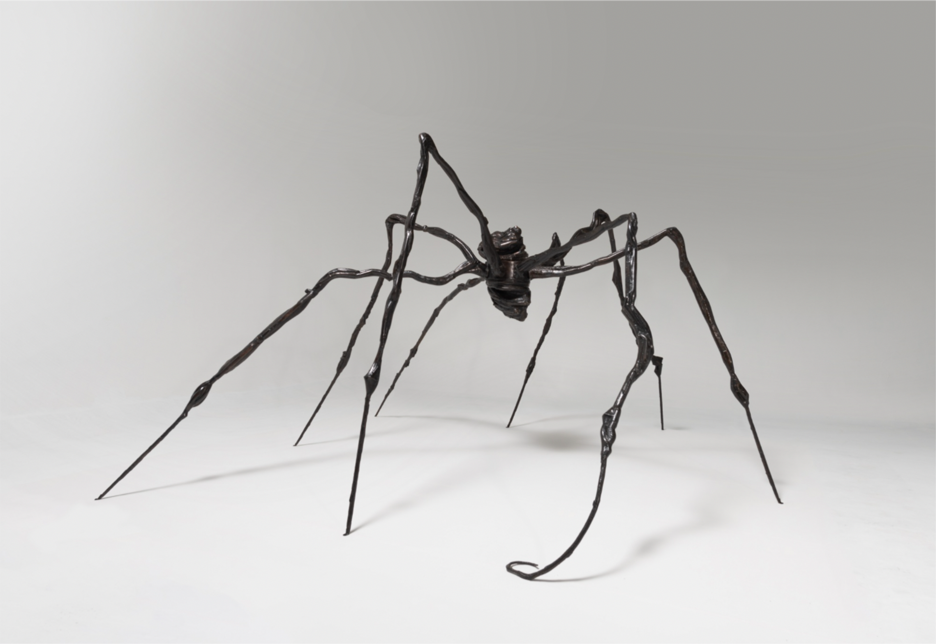 Large-scale bronze casted sculpture by Louise Bourgeois of a towering spider.