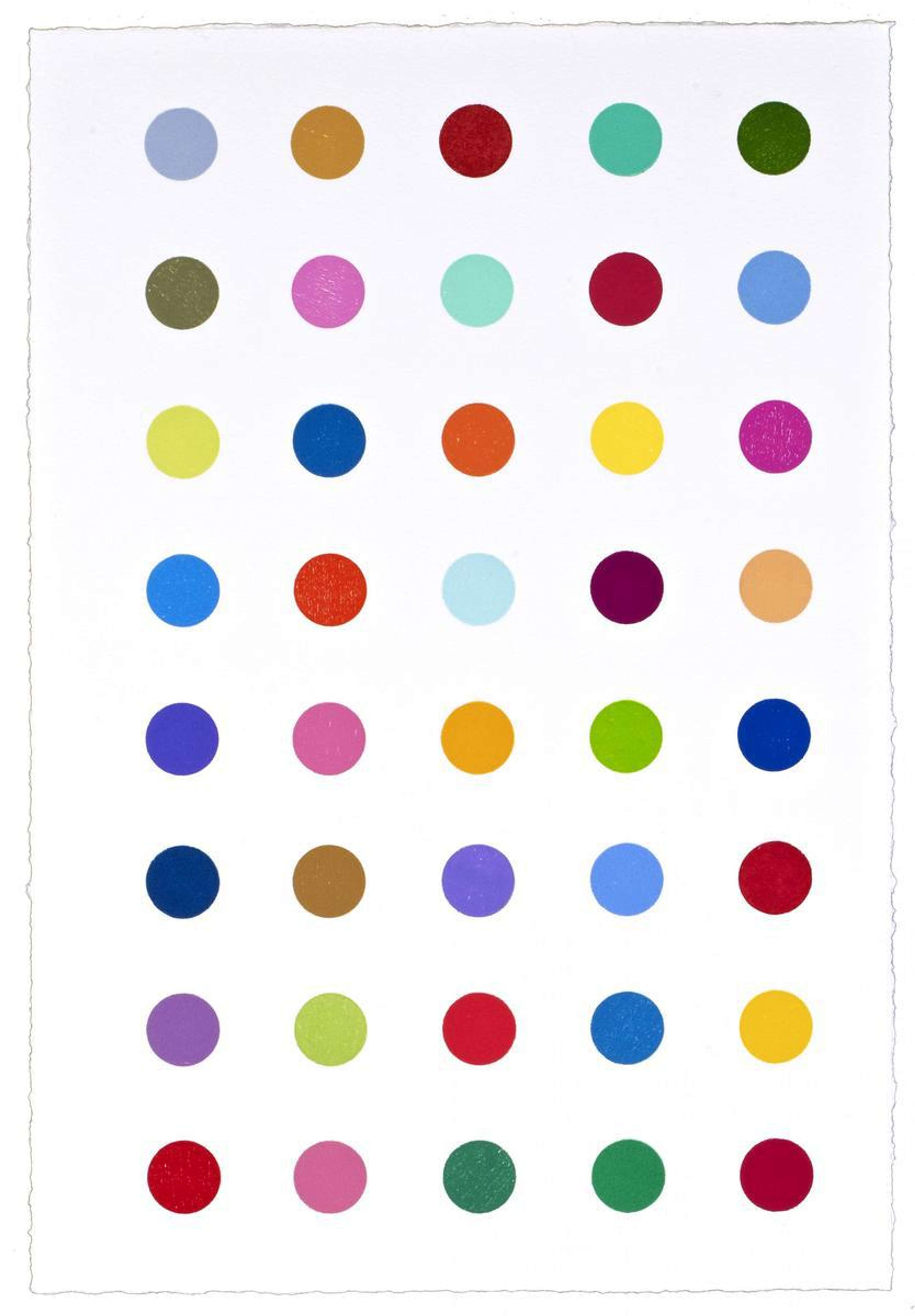 Ribonolactone - Signed Print by Damien Hirst 2011 - MyArtBroker