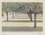 David Hockney: Herrenhauser Park, Hannover - Signed Print