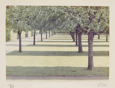 Herrenhauser Park, Hannover - Signed Print by David Hockney 1970 - MyArtBroker