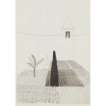 Rapunzel Growing In The Garden - Signed Print