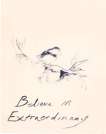 Believe In Extraordinary - Signed Print