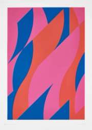Bridget Riley Large Fragment 2 (Signed Print) 2009 | MyArtBroker