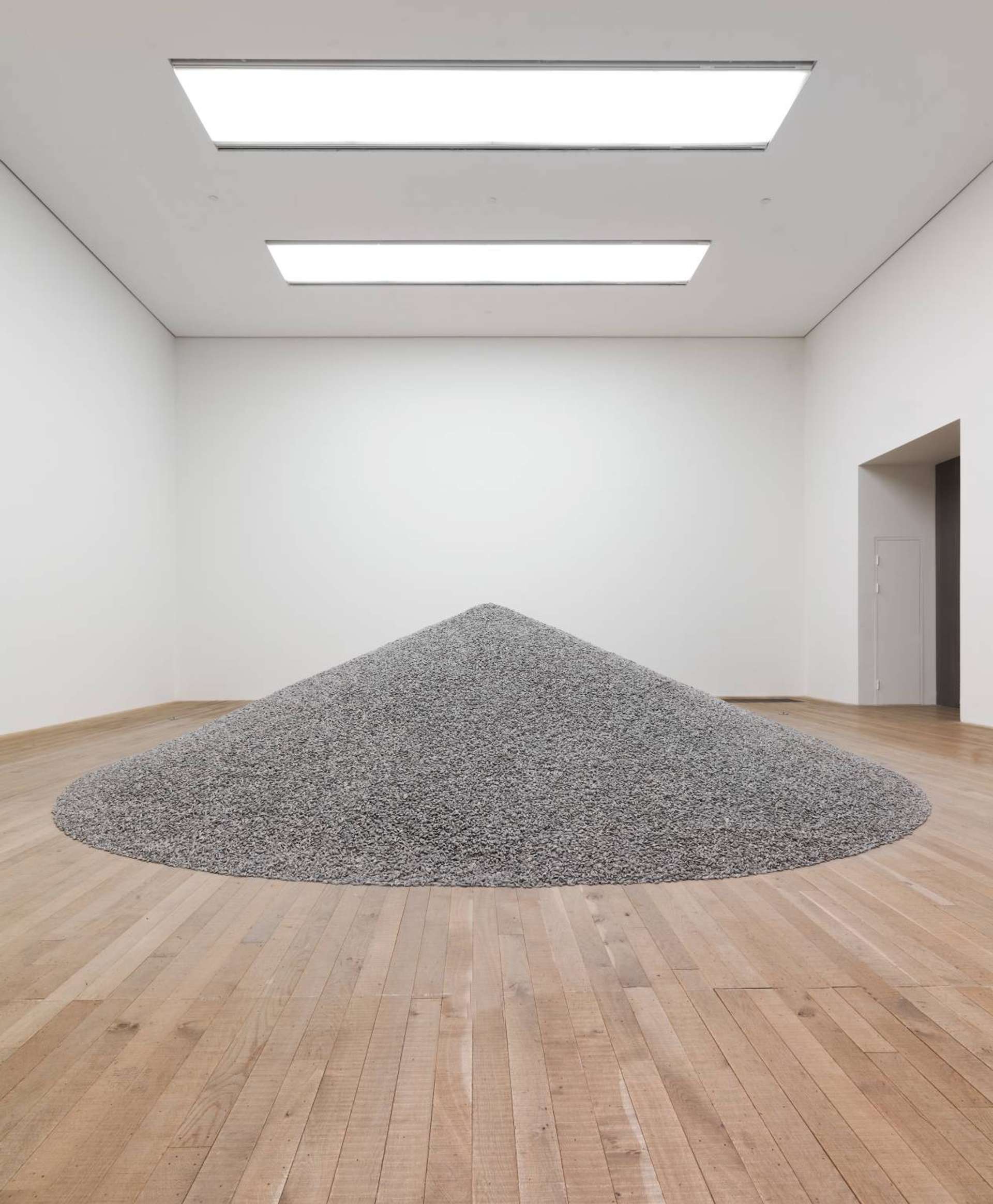A pile of sunflower seeds on a wooden floor inside a white room