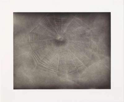 Untitled (Web 3) - Signed Print by Vija Celmins 2002 - MyArtBroker