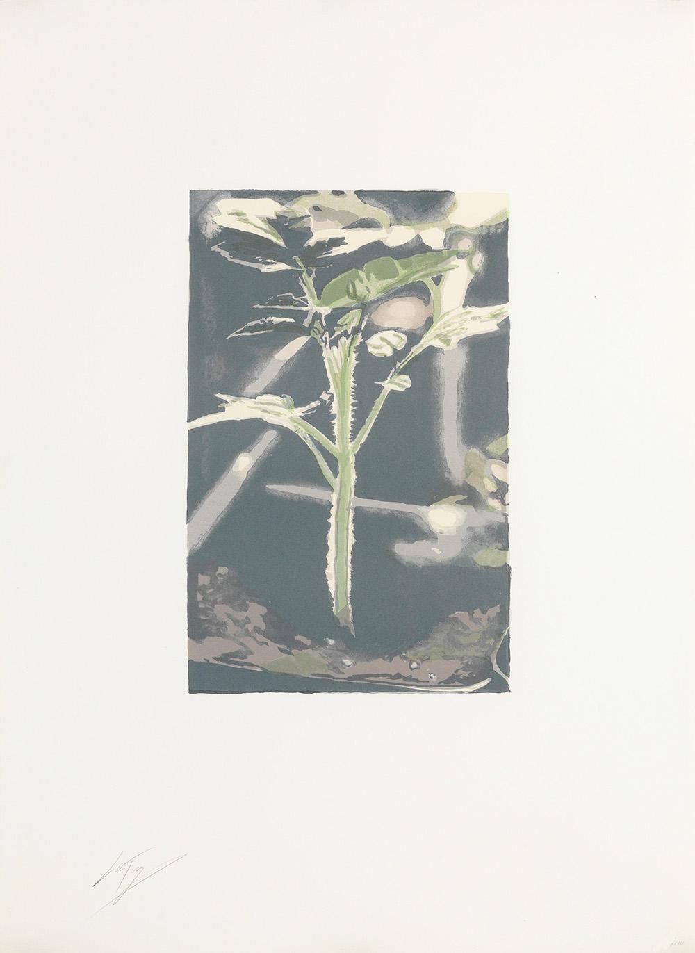 Luc Tuymans Untitled (The Rumor) (Signed Print) 2001 | For Sale