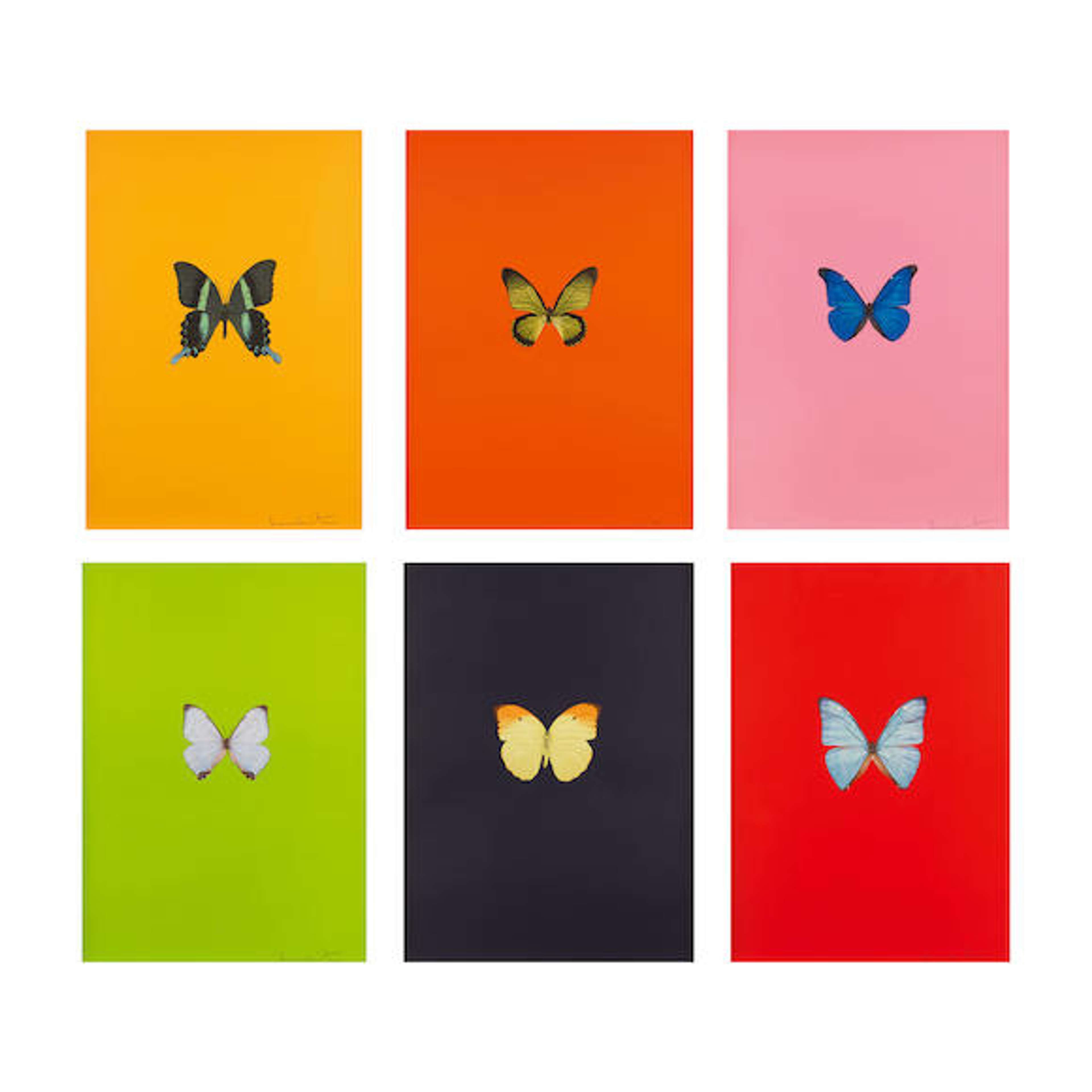 New Beginnings (complete set) - Signed Print by Damien Hirst 2011 - MyArtBroker