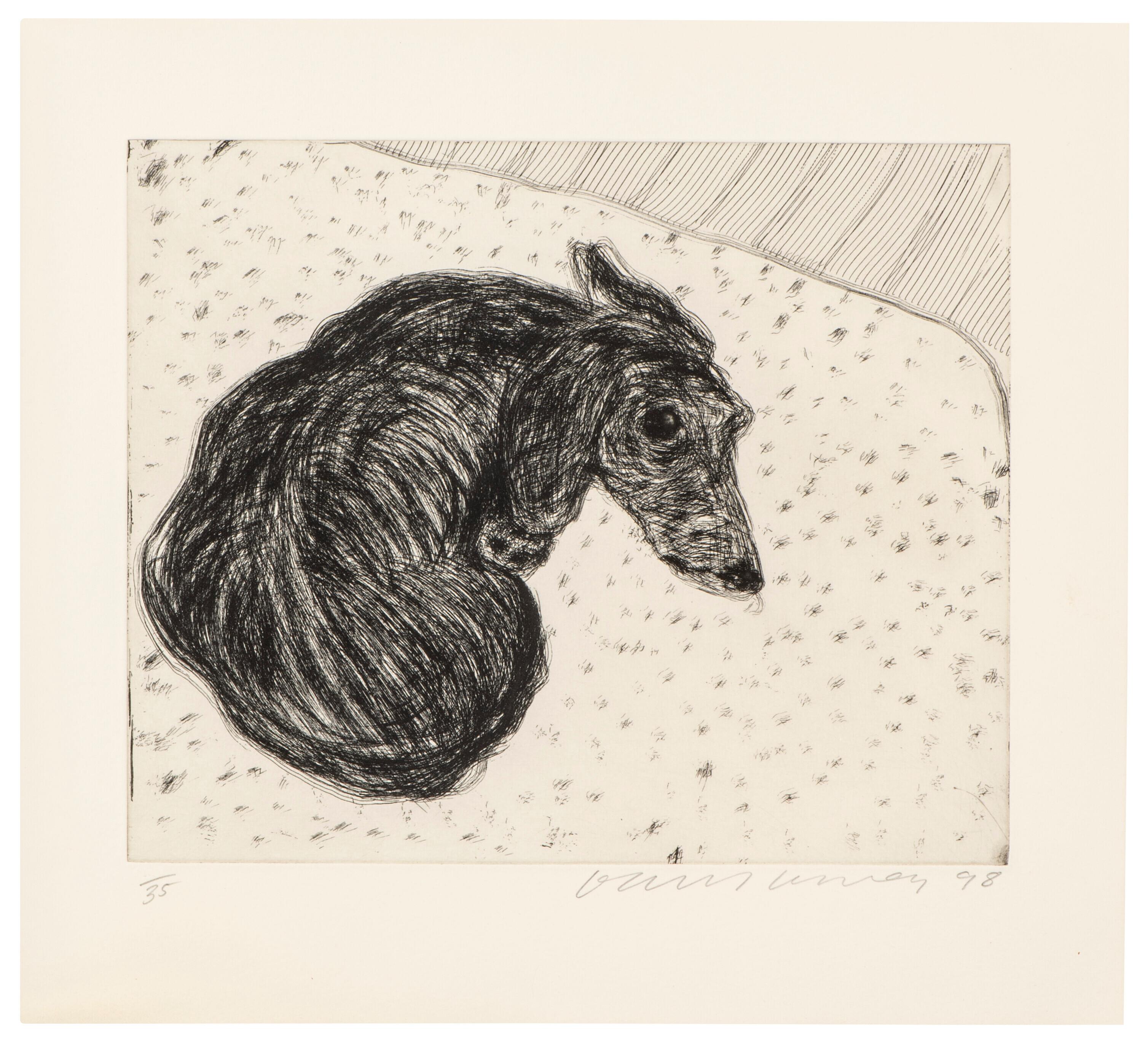マタチッチ　サイン入りポートレイト　1959年バイロイト　103×146mm David Hockney Dog Etching No. 15 (Signed Print) 1998 | MyArtBroker