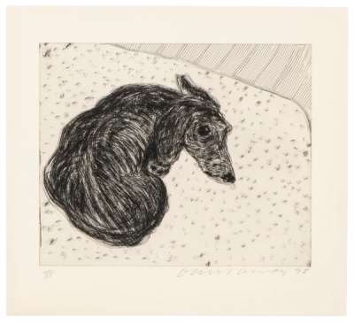 Dog Etching No. 15 - Signed Print by David Hockney 1998 - MyArtBroker