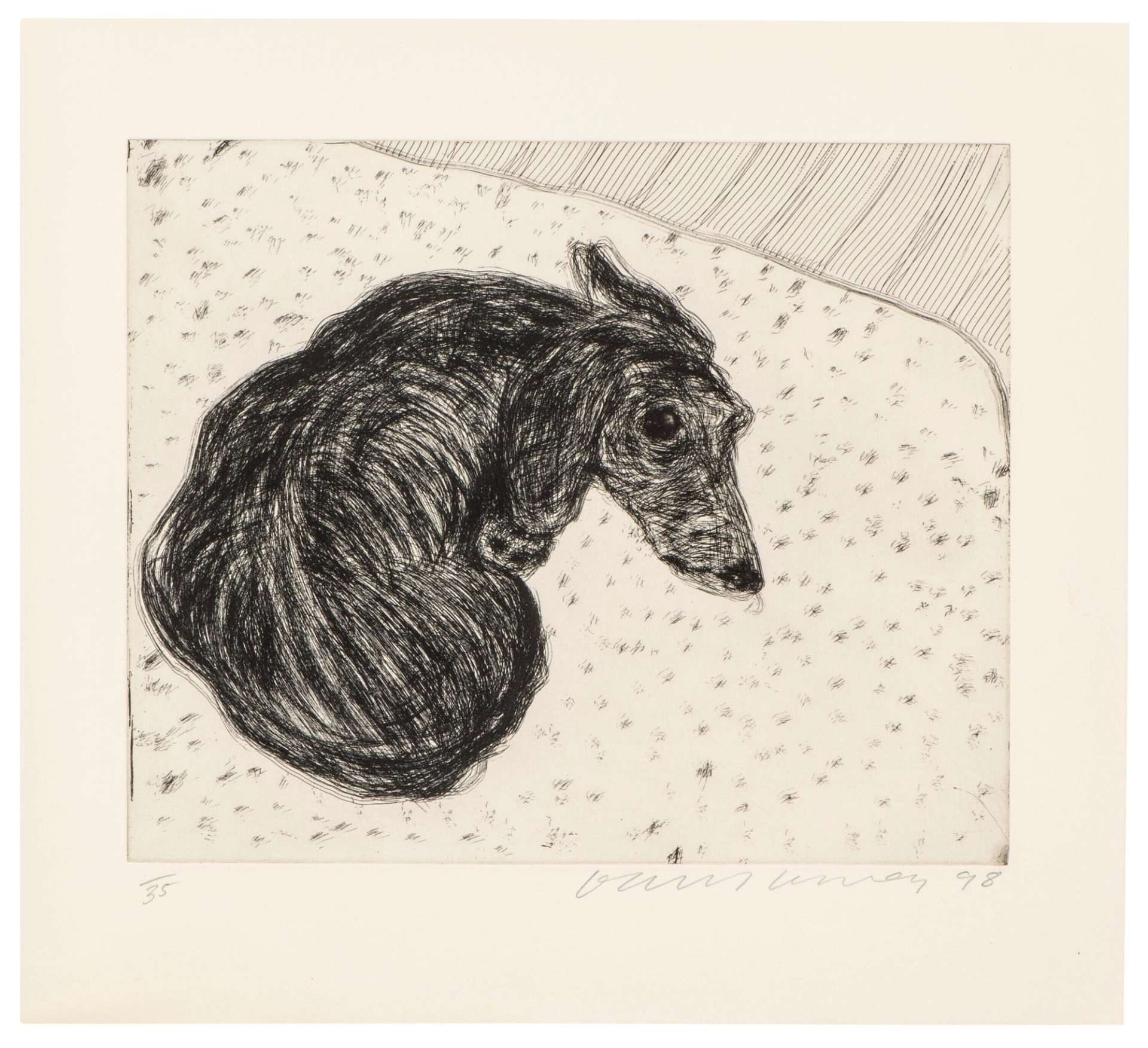 Dog Etching No. 15 by David Hockney - MyArtBroker 