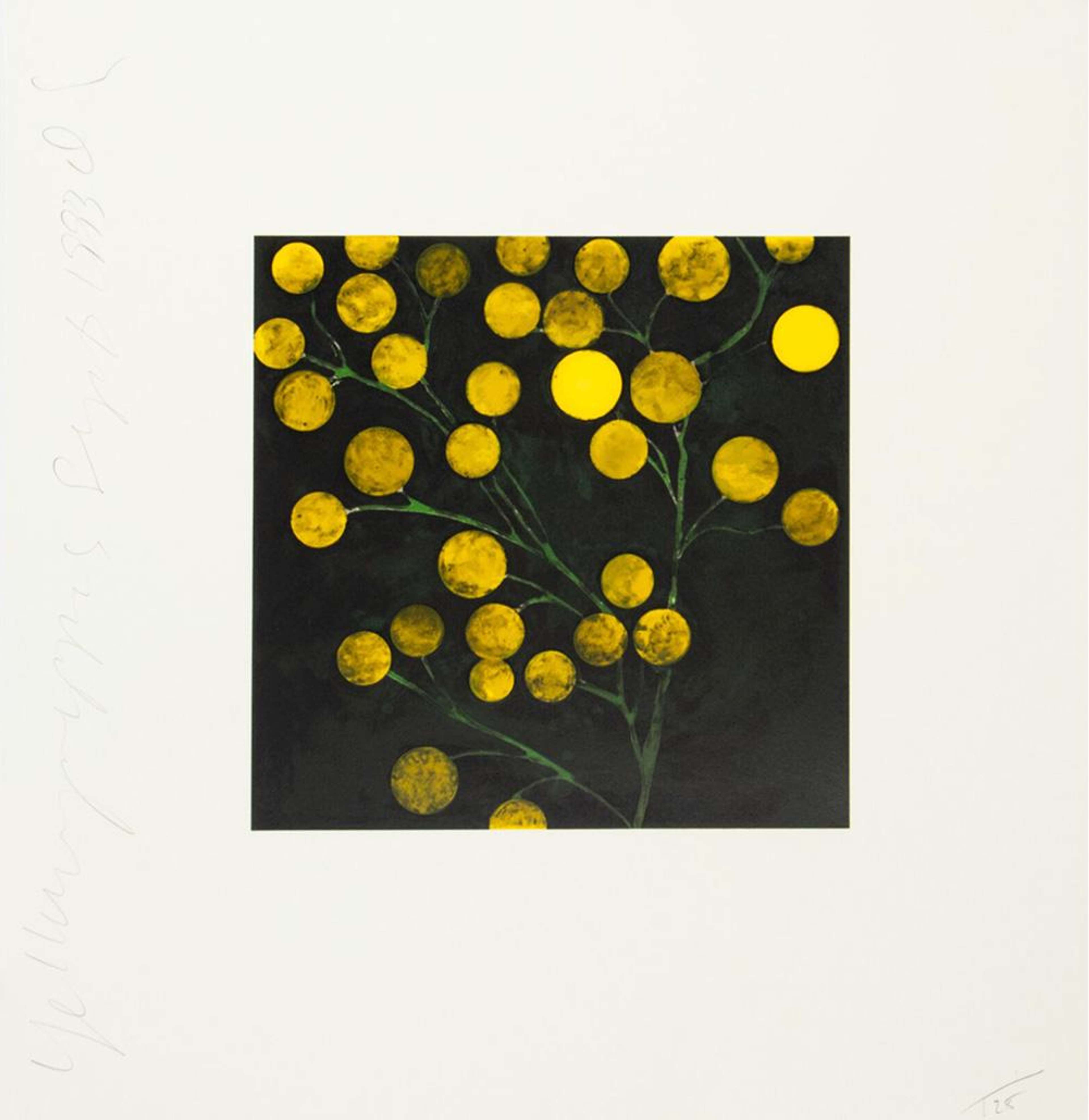 Yellow Peppers - Signed Print by Donald Sultan 1994 - MyArtBroker