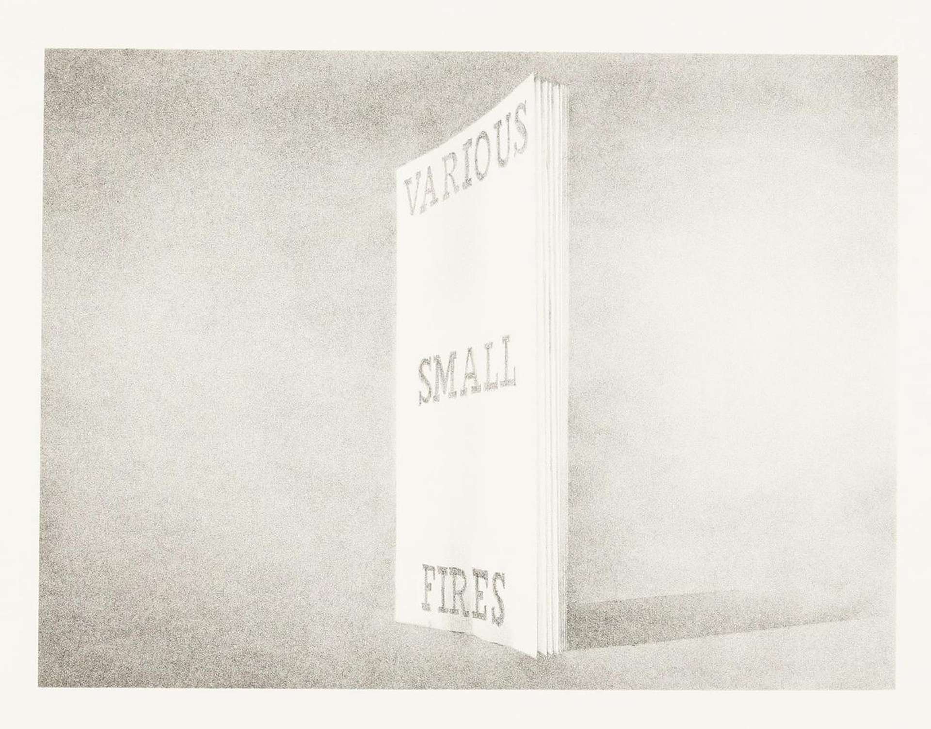 Various Small Fires Book Cover (30) - Signed Print by Ed Ruscha 1970 - MyArtBroker