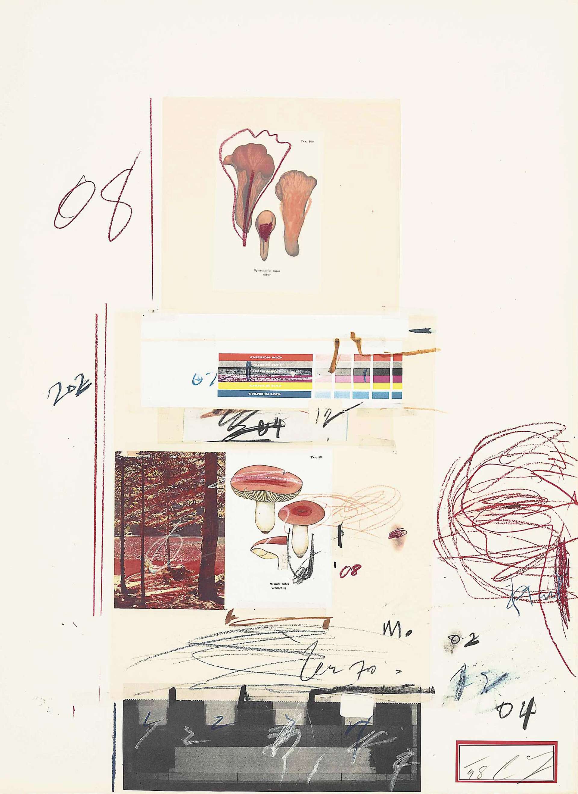 Plate V (from Natural History Part I - Mushrooms) - Signed Print by Cy Twombly 1974 - MyArtBroker