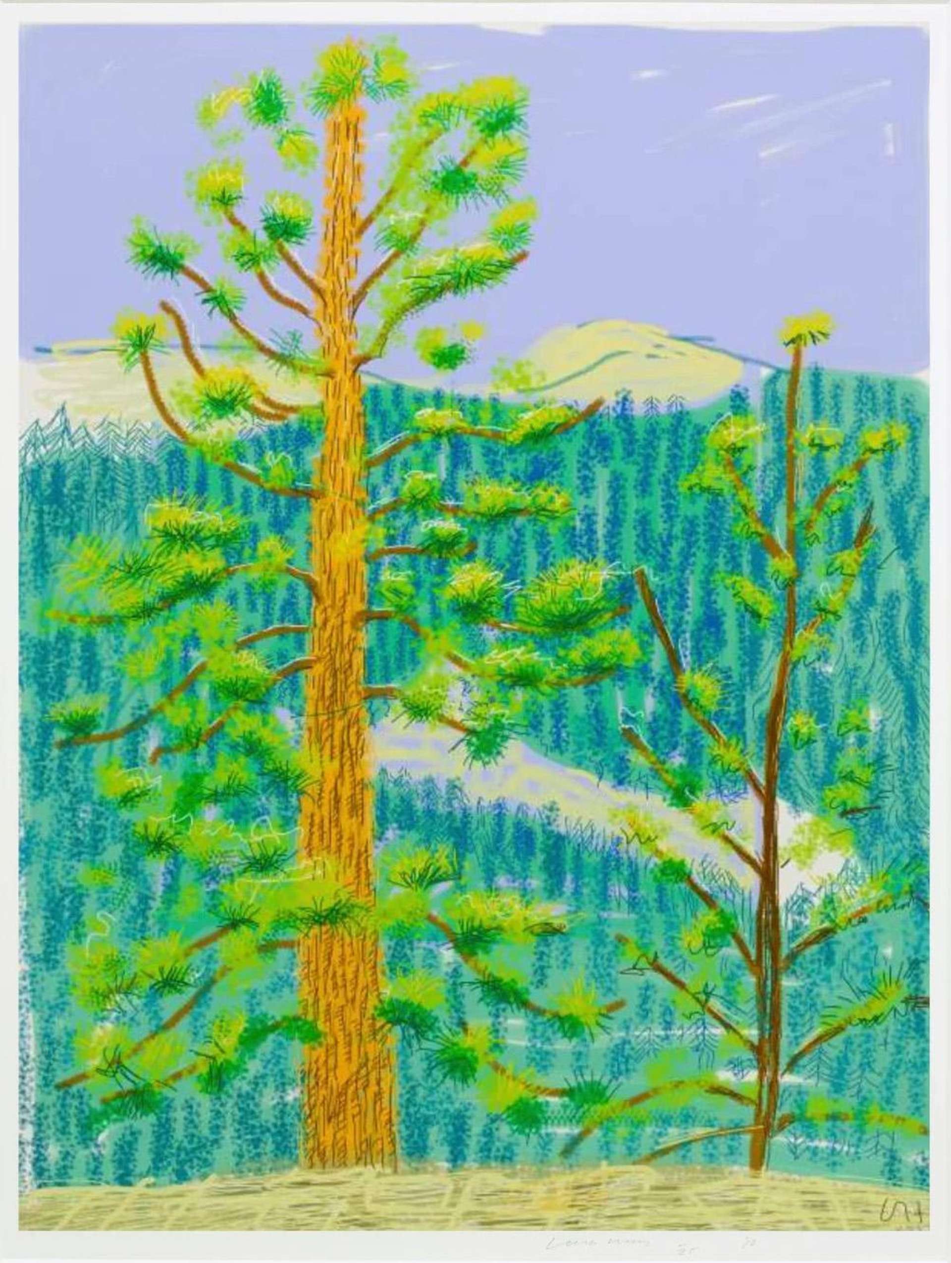 The Yosemite Suite 8 - Signed Print by David Hockney 2010 - MyArtBroker