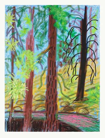 The Yosemite Suite 6 - Signed Print by David Hockney 2010 - MyArtBroker