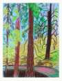 David Hockney: The Yosemite Suite 6 - Signed Print