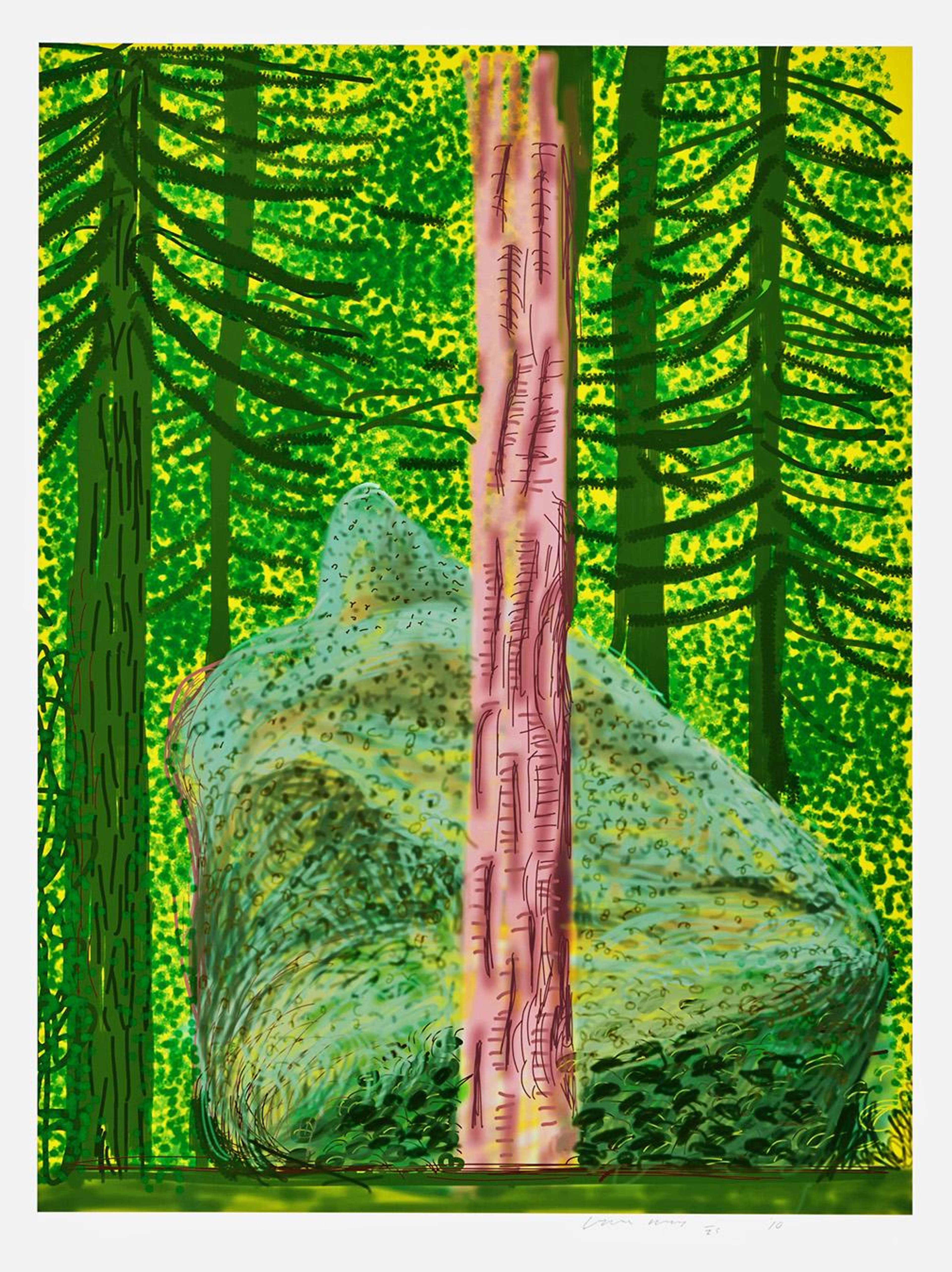 A forest view by David Hockney, with a tree partially obscuring a large boulder. The colour palette is mostly composed of greens, save for the central tree, which is depicted as in sunlight, in shades of brown.