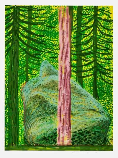 The Yosemite Suite 19 - Signed Print by David Hockney 2010 - MyArtBroker