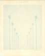 David Hockney: Ten Palm Trees In The Mist - Signed Print