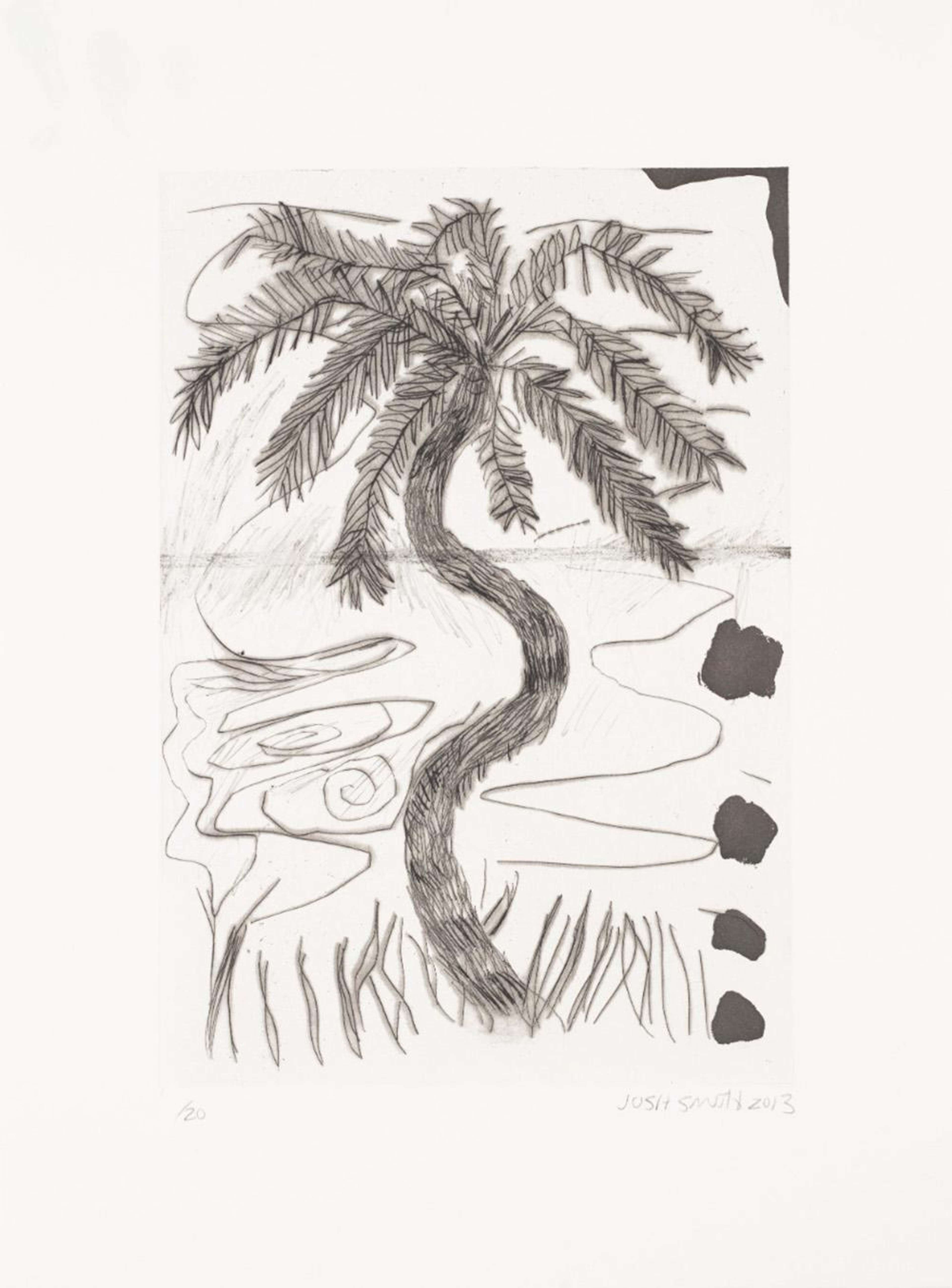 Wild Palms 4 - Signed Print by Josh Smith 2013 - MyArtBroker