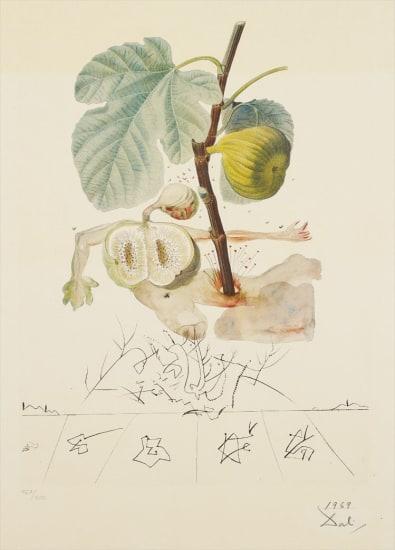 Salvador Dali Venus Au Joueur D'Orgue (Signed Print) 1971