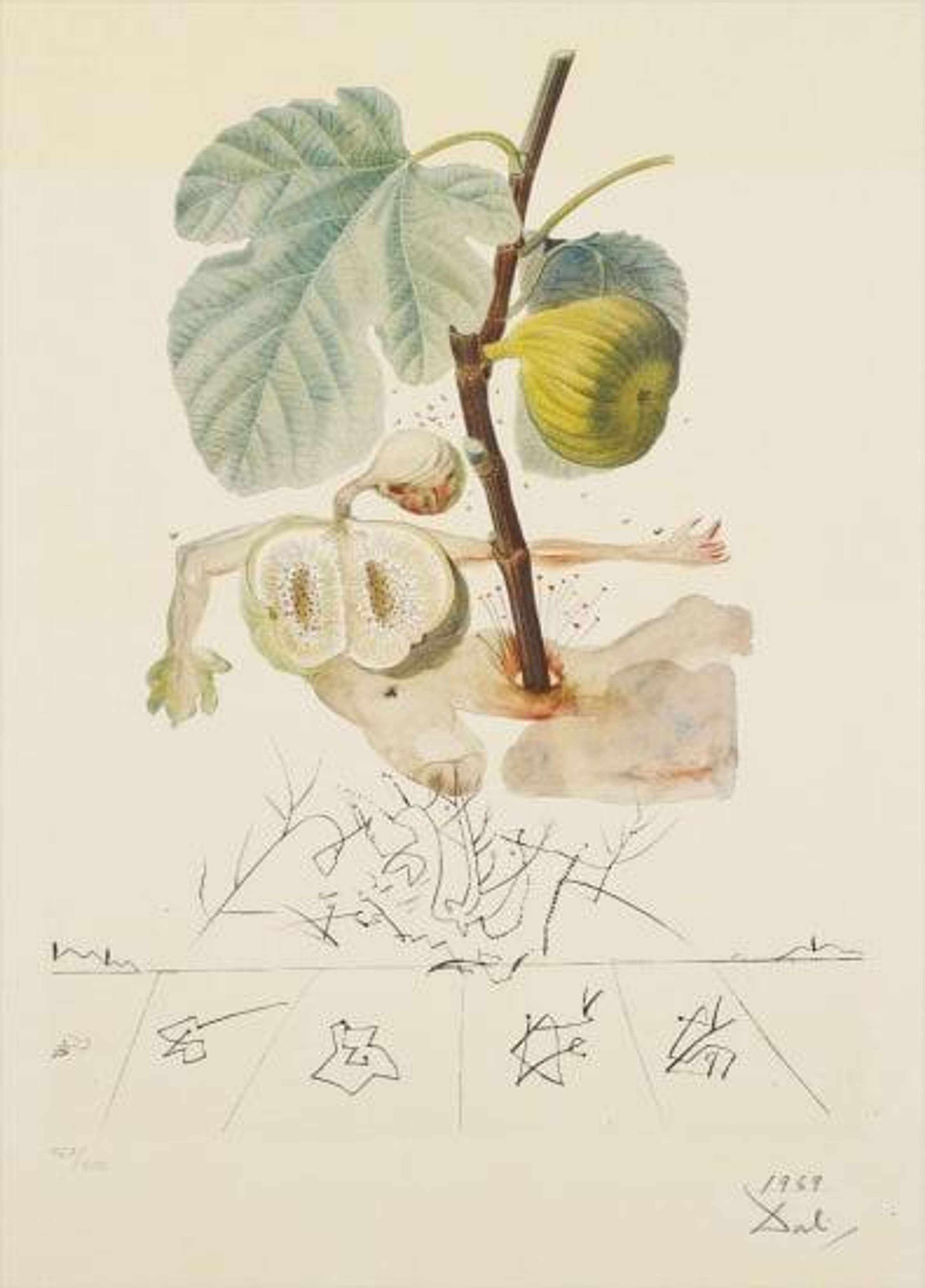 Homme Figuier (Flordali, Les Fruits) - Signed Print by Salvador Dali 1969 - MyArtBroker
