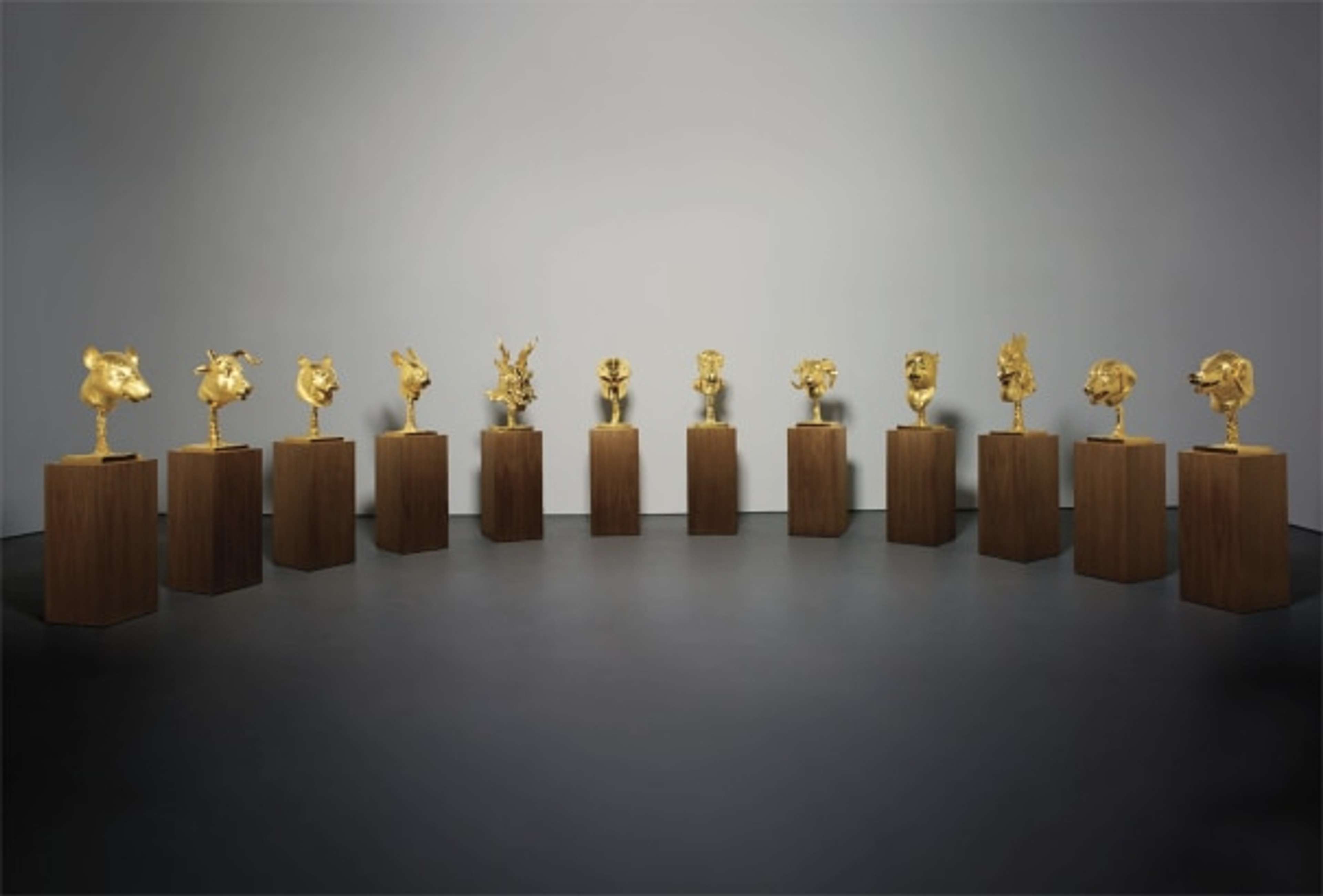 A photograph of twelve polished bronze sculptures placed on brown wood podiums. The sculptures depict the heads of the Chinese zodiac animals, including the rat, ox, tiger, rabbit, dragon, snake, horse, goat, monkey, rooster, dog, and pig. The sculptures are arranged in an open semi-circle formation.