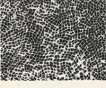 Infinity Nets - Signed Print