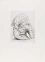 Henry Moore: Elephant Skull XI - Signed Print