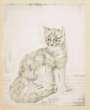 Tsuguharu Foujita: Chat Qui Regarde - Signed Print