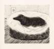 Dog Etching No. 5 - Signed Print