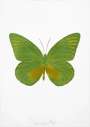 Damien Hirst: The Souls I (leaf green, oriental gold) - Signed Print