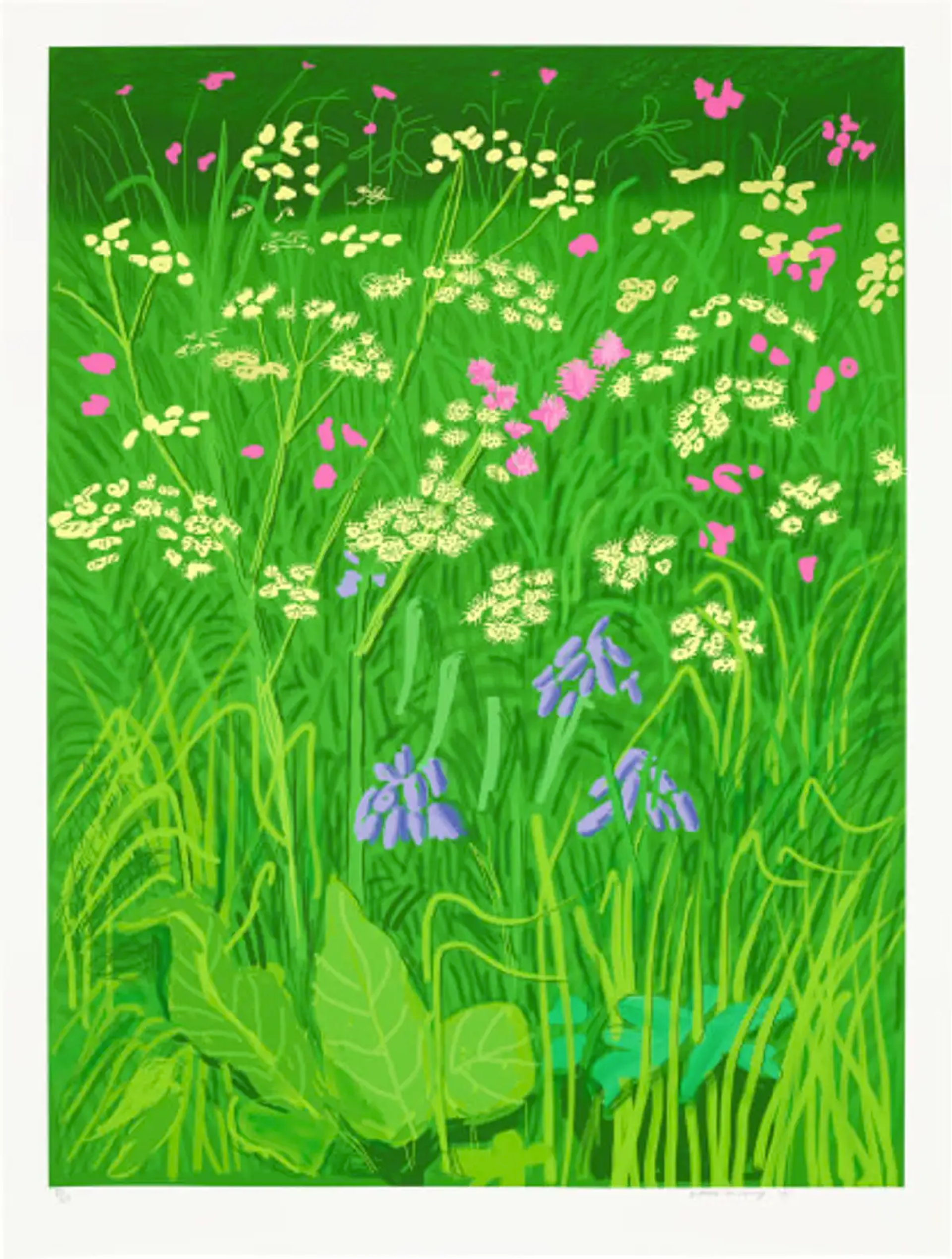 This print by David Hockney shows a garden scene, with three different types of wildflowers -- in pink, white and purple.