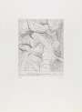 Henry Moore: Elephant Skull V - Signed Print