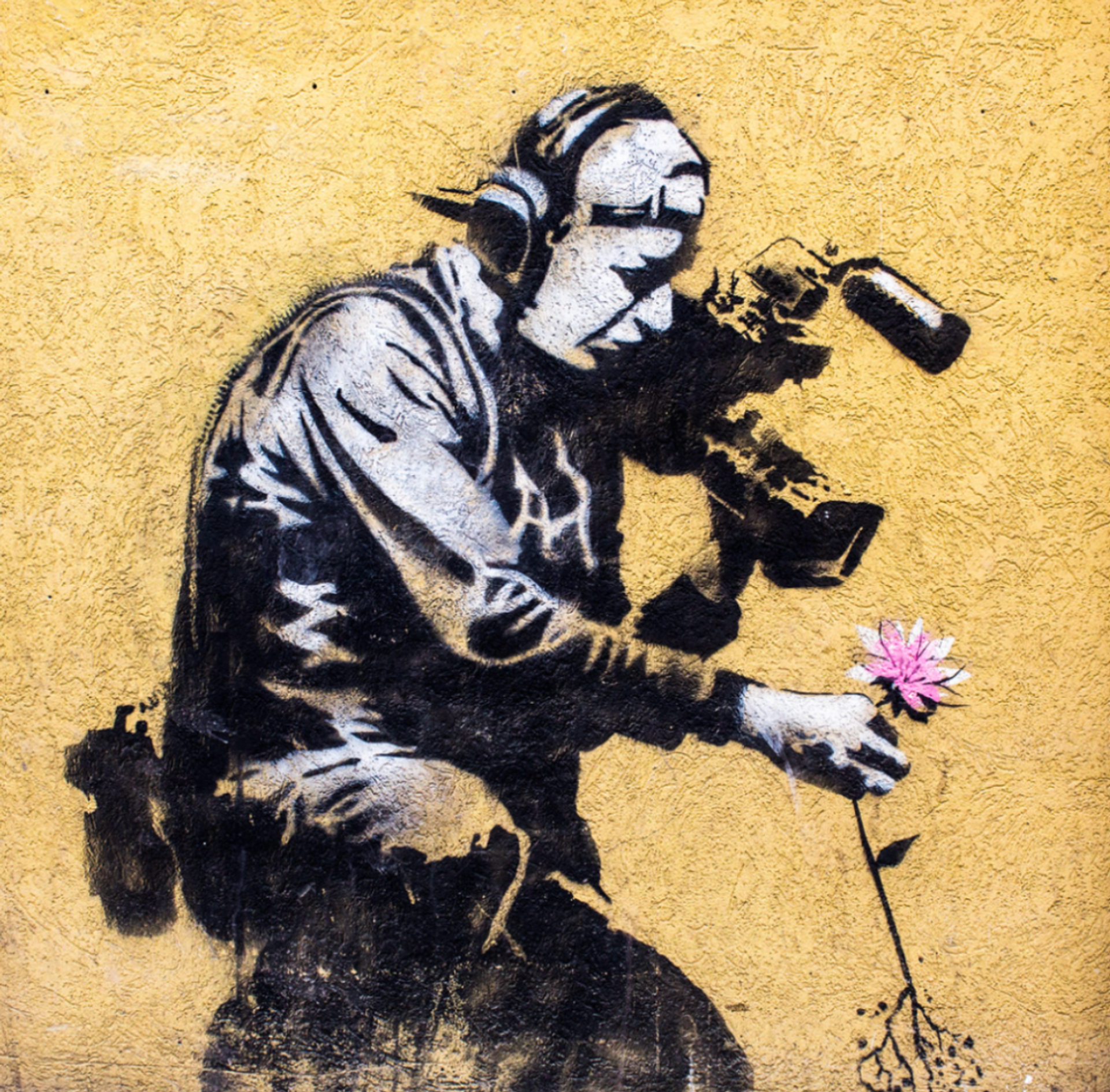 Camera Man and Flower by Banksy
